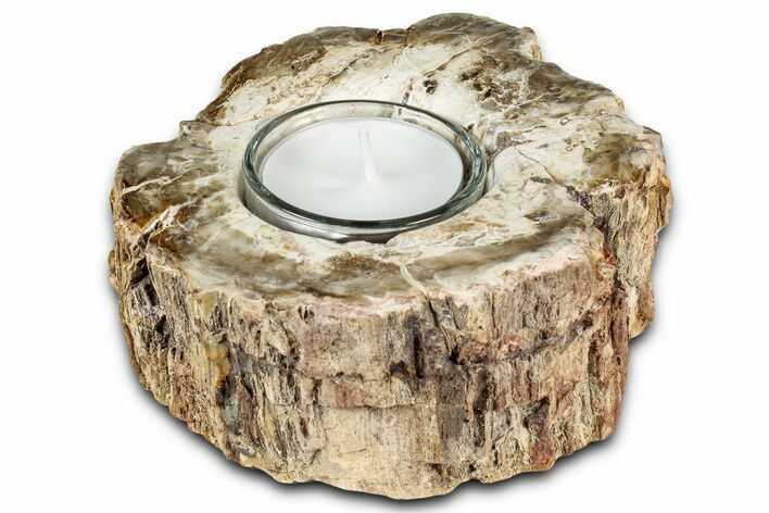 Polished Petrified Wood Candle Holder - Madagascar #337584